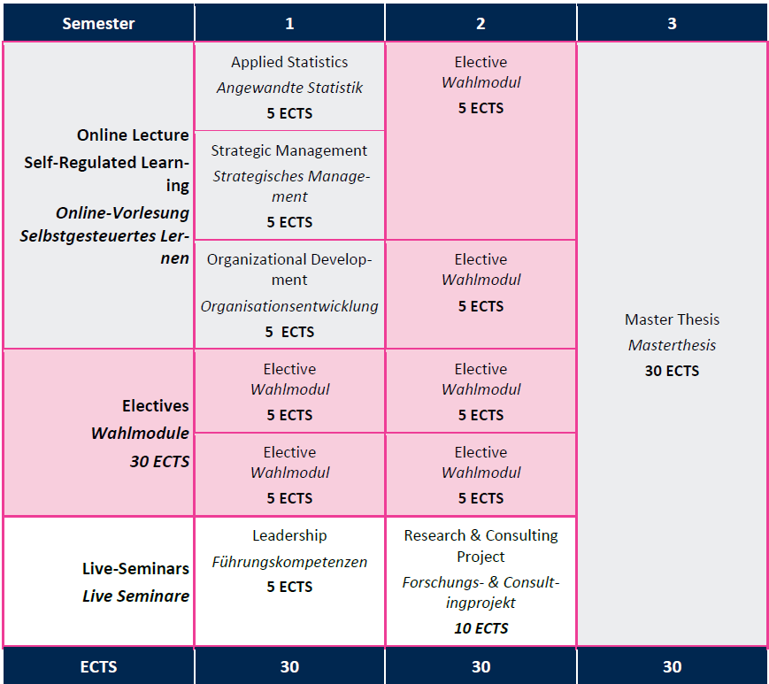 MGT Curriculum Vollzeit 90 ECTS