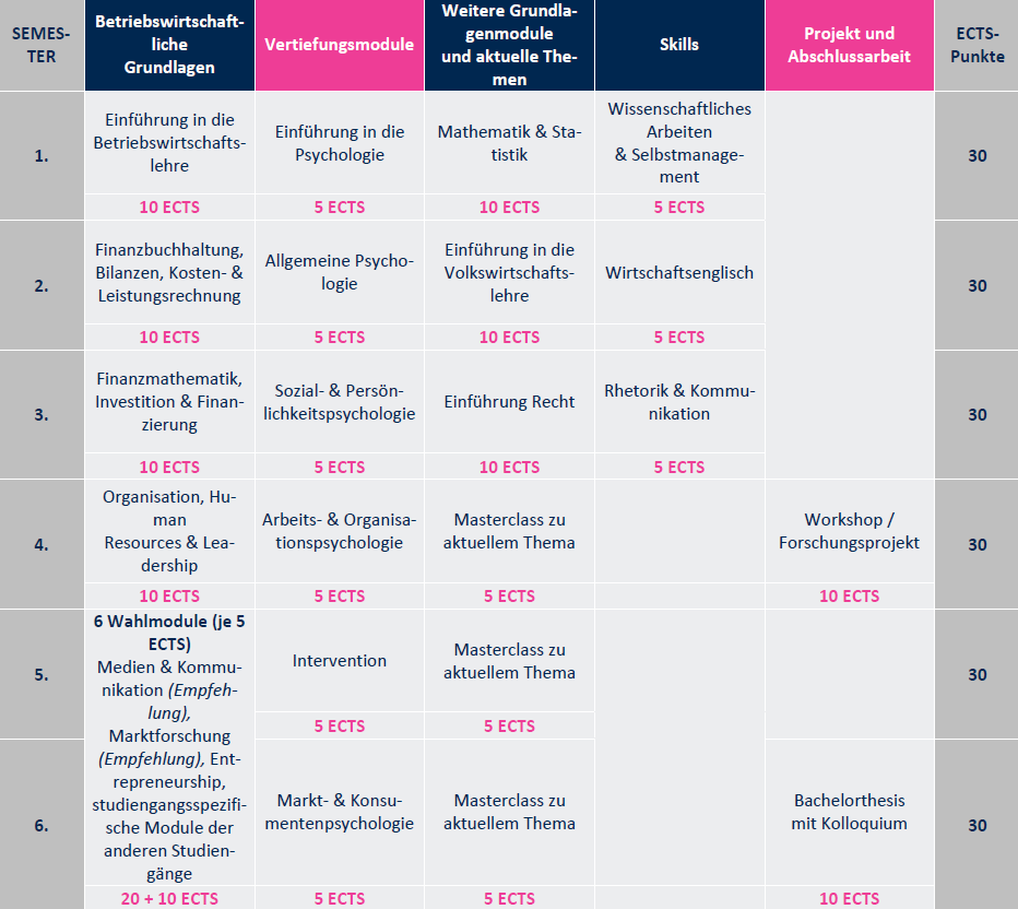 WP Curriculum Vollzeit